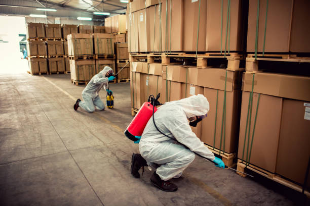 Best Best Pest Control Near Me  in Hubbard, TX