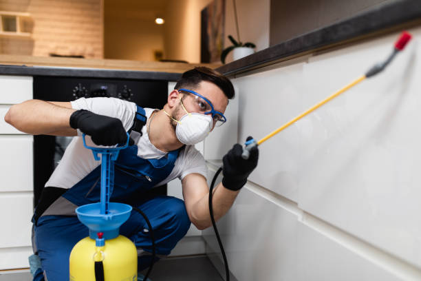 Best Bed Bug Extermination  in Hubbard, TX