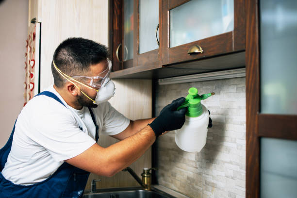 Best Pest Removal Services  in Hubbard, TX