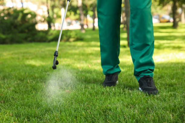 Best Mosquito Control Services  in Hubbard, TX