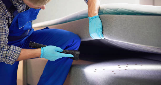 Best Termite Control Services  in Hubbard, TX