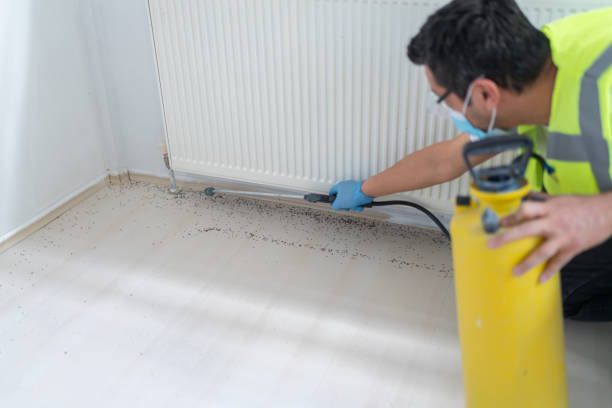 Flea Control Services in Hubbard, TX