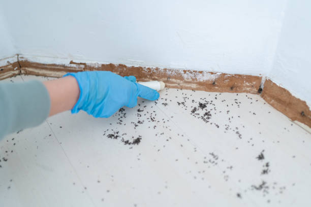 Wildlife Control Services in Hubbard, TX